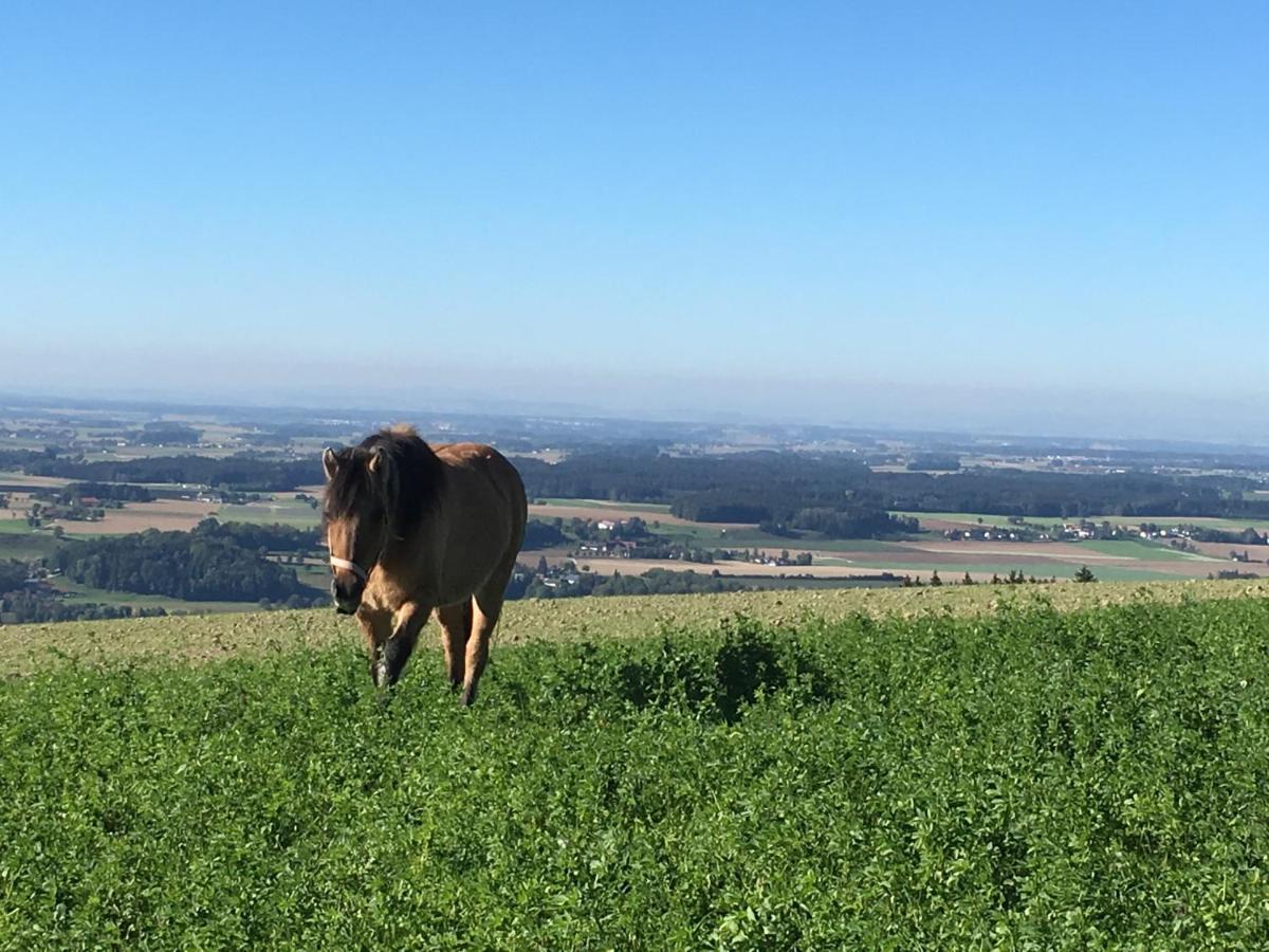 הוילה Aschach an der Steyr Hochhubergut מראה חיצוני תמונה